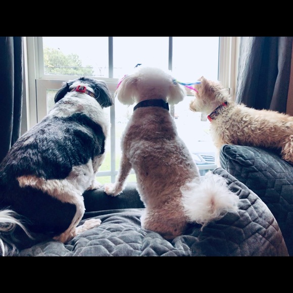 Hi! I’m Elisa - most call me E.  Just the letter E - Picture 9 of 13